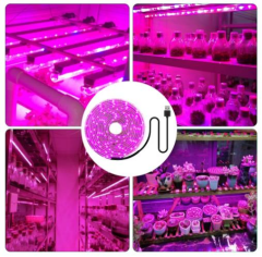 ALFA USB 2 METRE ŞERİT LED  GROW LIGHT SPEKTRUM BİTKİ YETİŞTİRME LAMBASI MEYVE SEBZE  2m