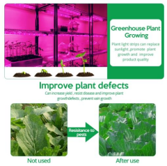 ALFA USB 2 METRE ŞERİT LED  GROW LIGHT SPEKTRUM BİTKİ YETİŞTİRME LAMBASI MEYVE SEBZE  2m