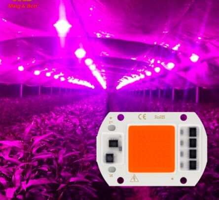 LED Grow COB Çip Dikey Topraksız Tarım Yetiştirme Lambası Full Spektrum 20W