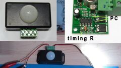 Hareket Sensörü DC 12V 24V PIR Dedektör Hareket Sensörlü