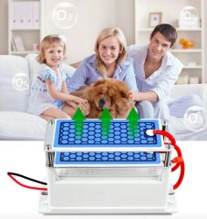 Hava Temizleyici Jeneratör 10gr 220V