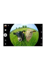 Balık Gözü Lens Fish Eye Geniş Açılı Makro Telefon Lensi