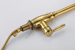 Altın Krom 360 Derece Döner Spiral Başıklı Spray Modlu Mutfak Lavabo Evye Bataryası