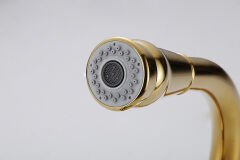 Altın Krom 360 Derece Döner Spiral Başıklı Spray Modlu Mutfak Lavabo Evye Bataryası