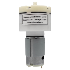 Hava Kompresörü Pompa Motoru 24V 12W 13KPA Yüksek Psi Elektrikli Yüksek Basınçlı